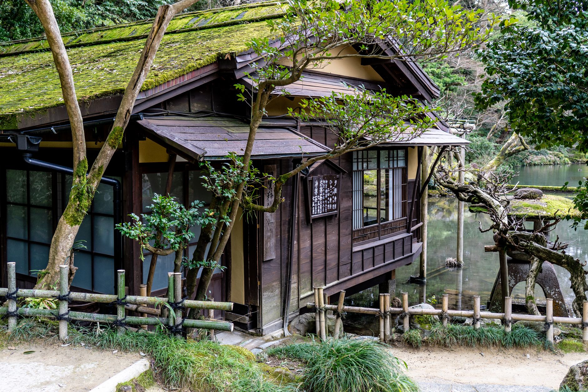 Rain washing over moss and stone lantern in private Kyoto temple garden