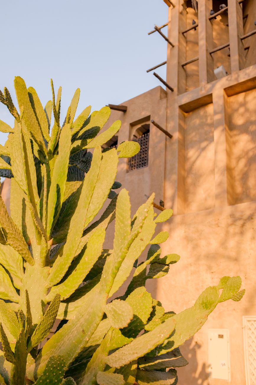 Earth-toned adobe structures framing endless southwestern desert horizon